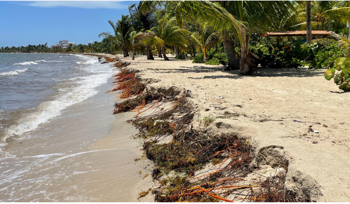 Placencia erosion problem